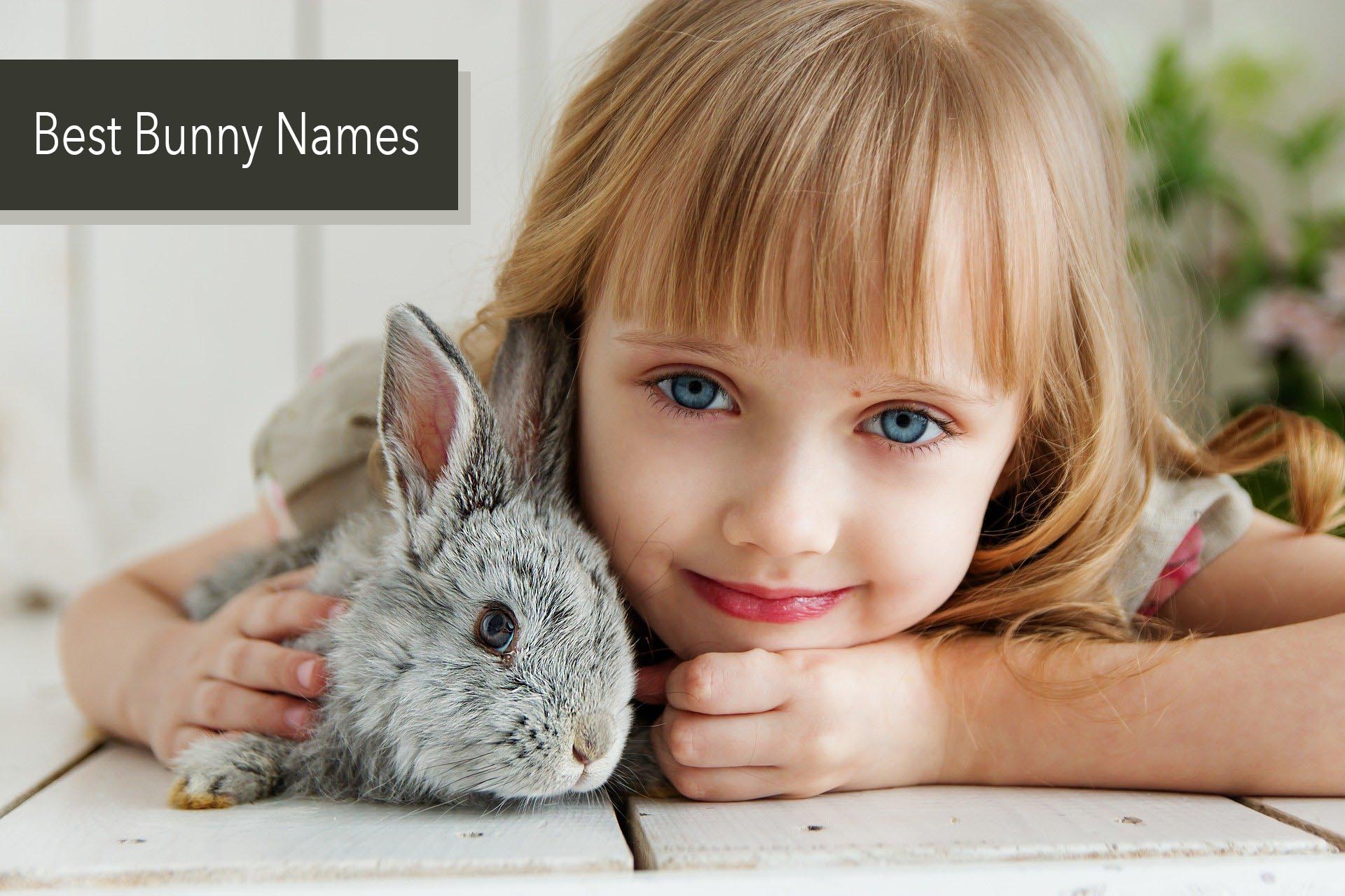 Best Bunny Names for Boy or Girl Rabbit Very Many Names